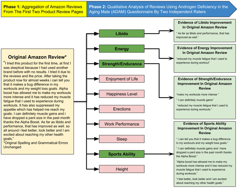 Figure 3: