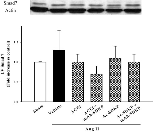 Figure 10.