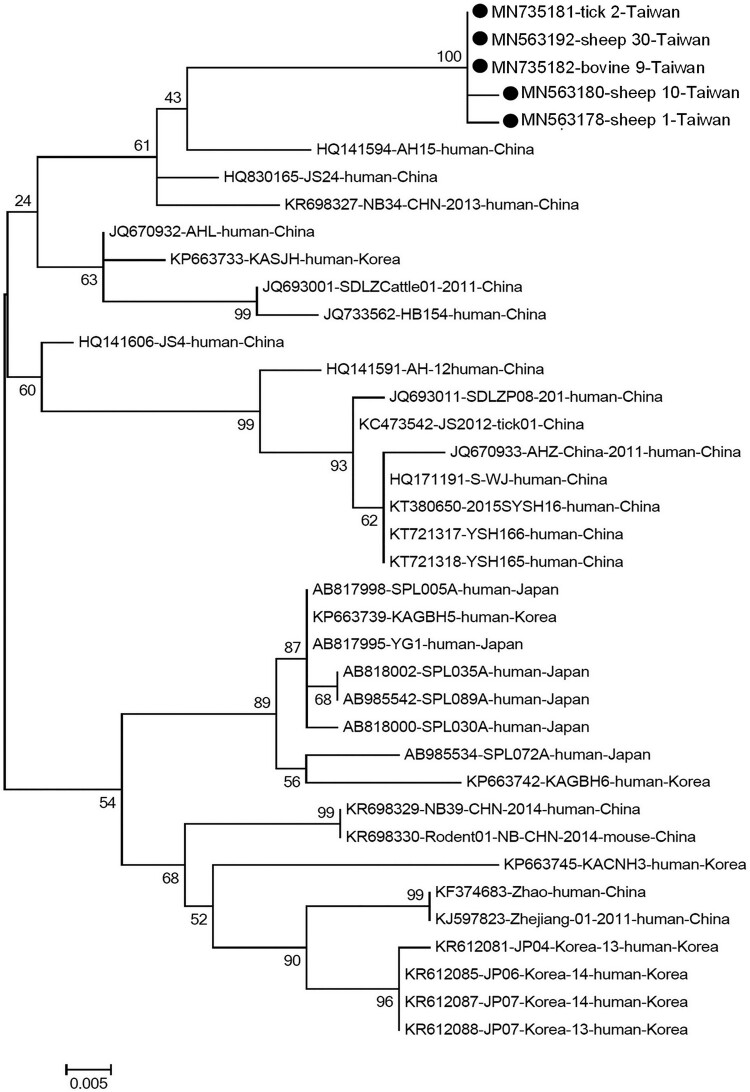 Figure 1.