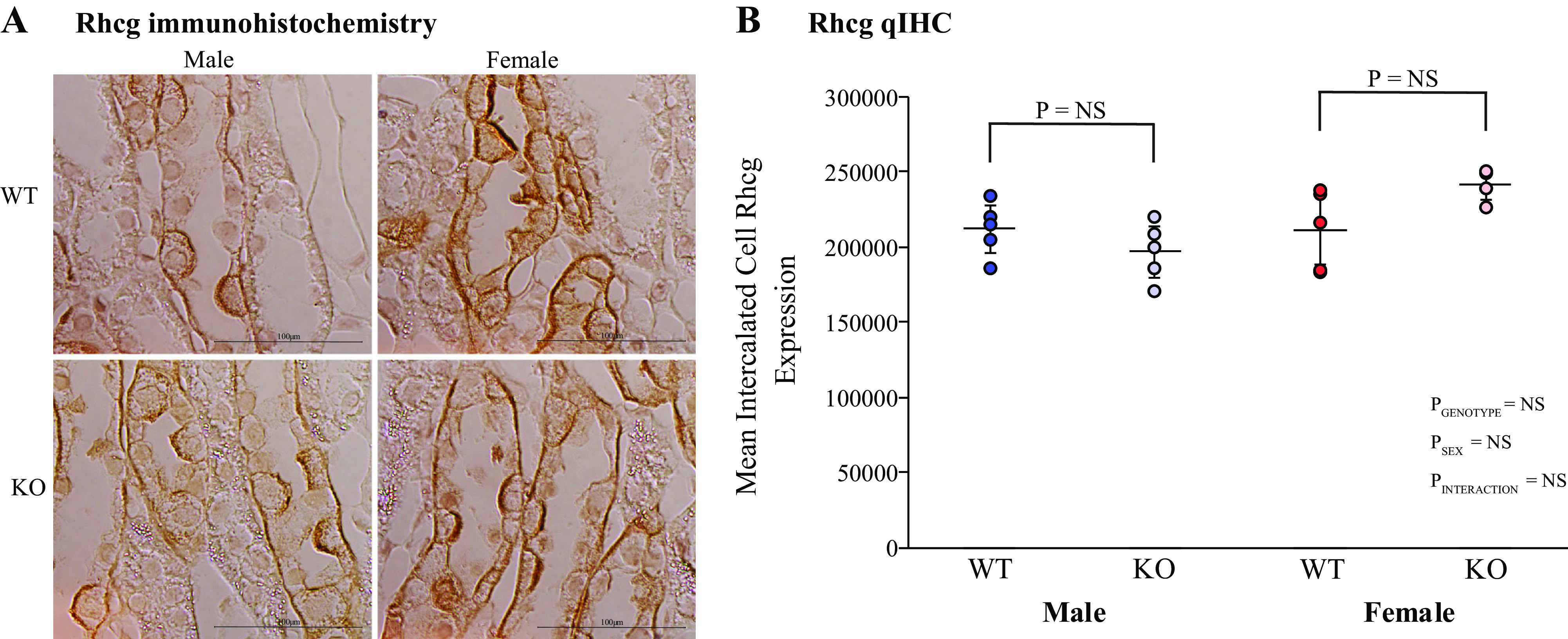 Figure 10.