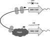 Fig. 6.