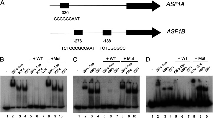 Figure 2.