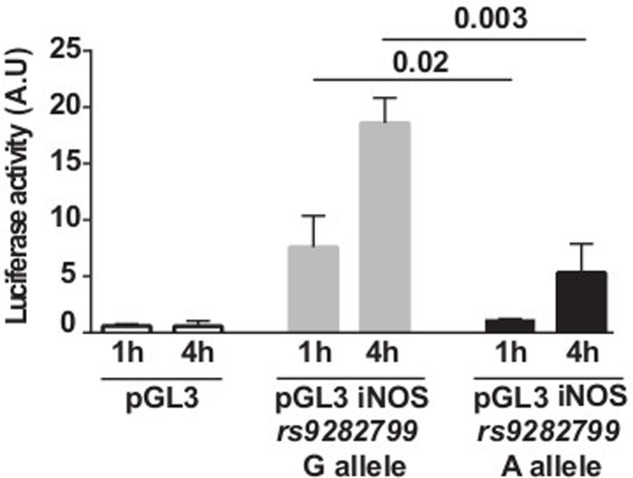 FIGURE 2