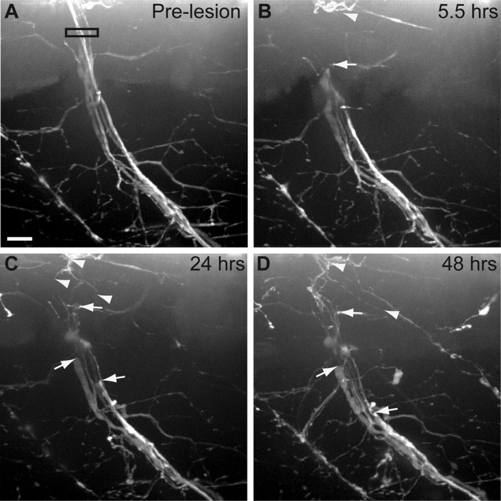 Figure 3.