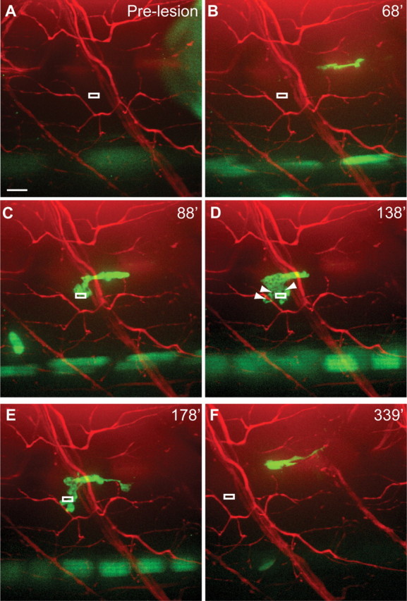 Figure 6.