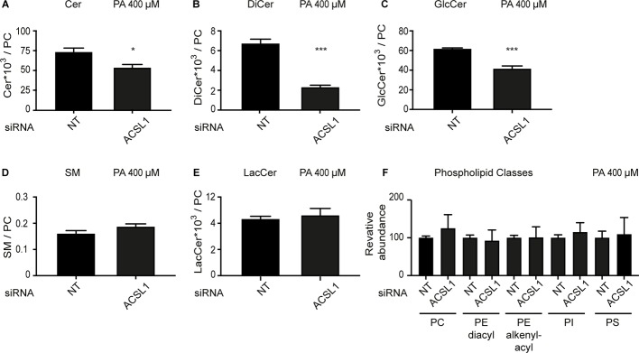 Figure 6—figure supplement 1.