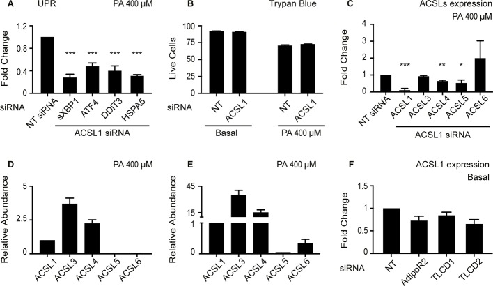 Figure 5—figure supplement 2.