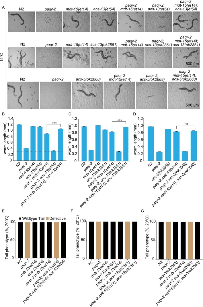 Figure 1—figure supplement 3.