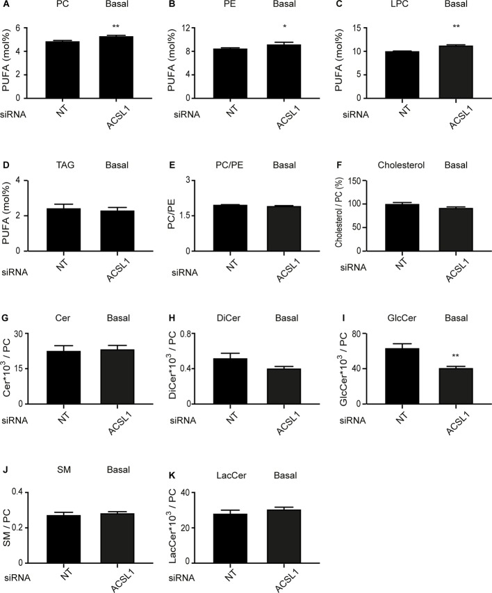 Figure 6—figure supplement 2.