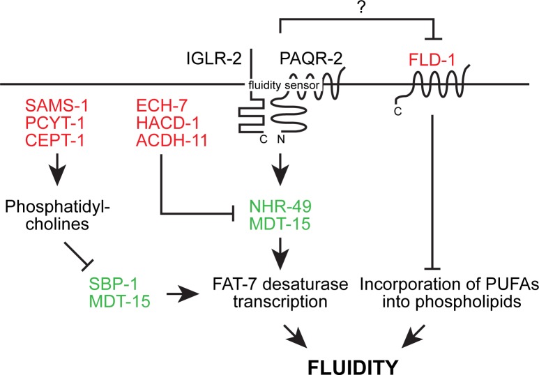 Figure 1—figure supplement 1.