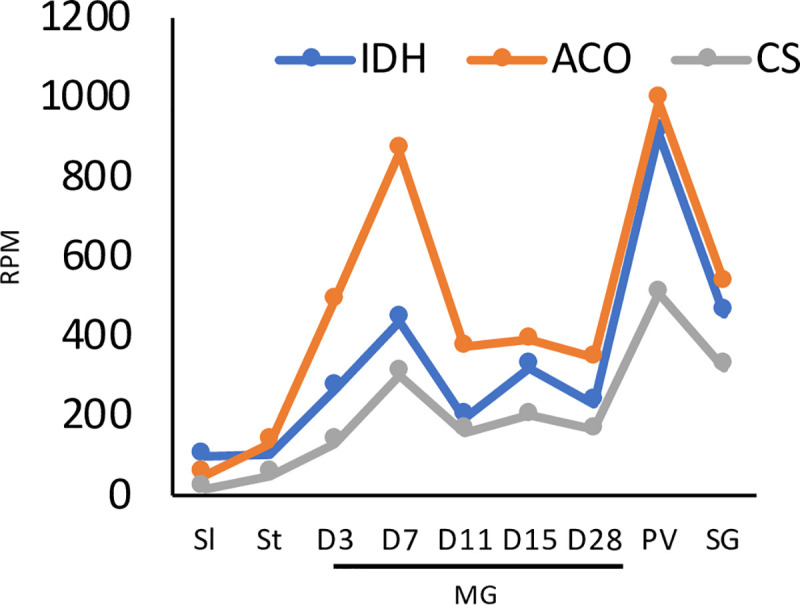 Fig 4