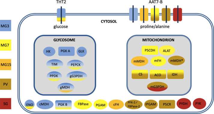 Fig 10