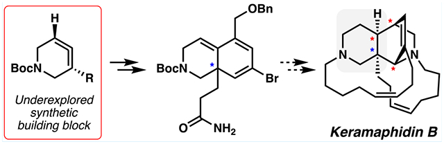 graphic file with name nihms-1926232-f0001.jpg
