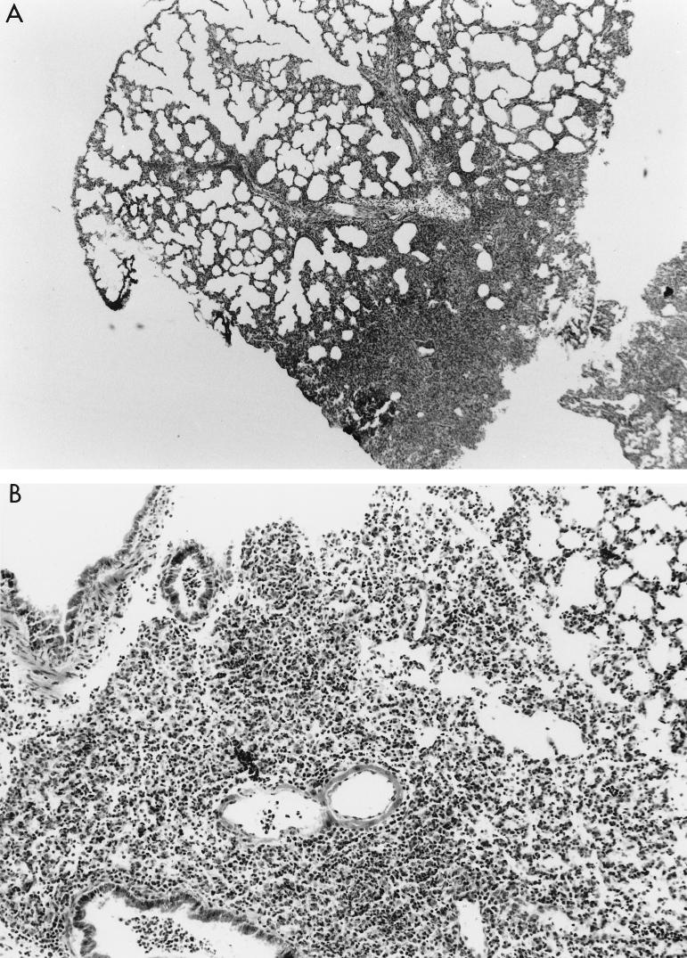 FIG. 7