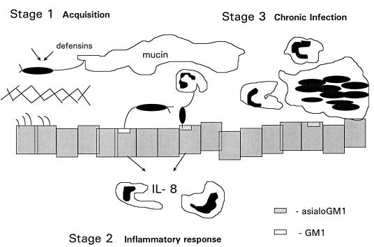 FIG. 9