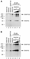 FIG. 5