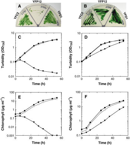 Figure 2.