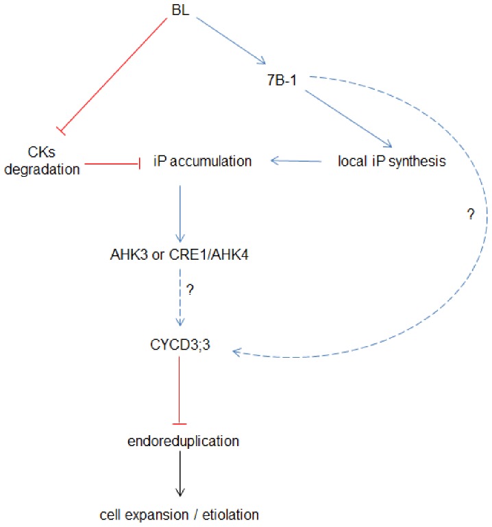 Figure 16