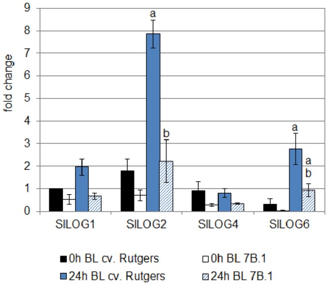 Figure 7