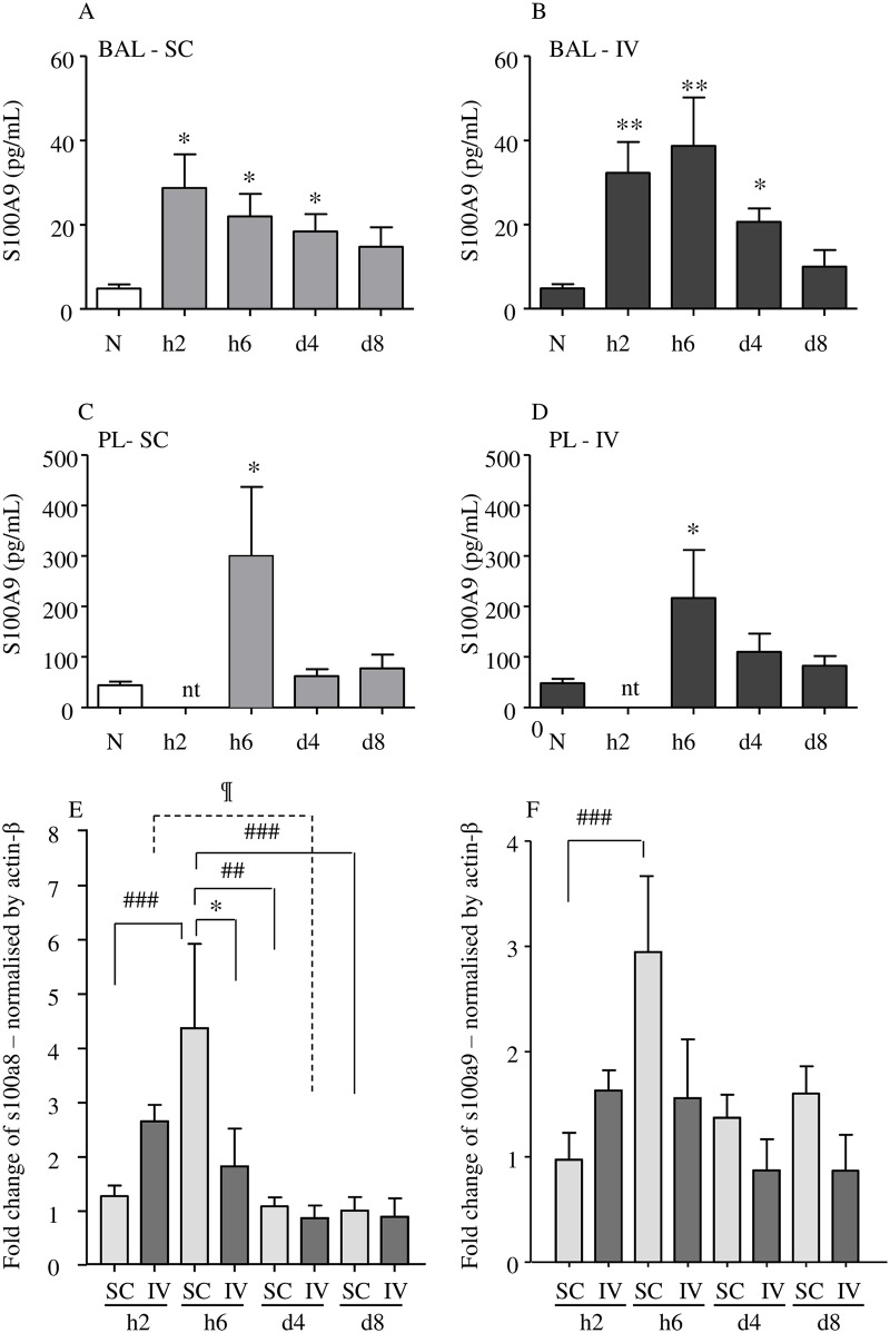 Fig 6