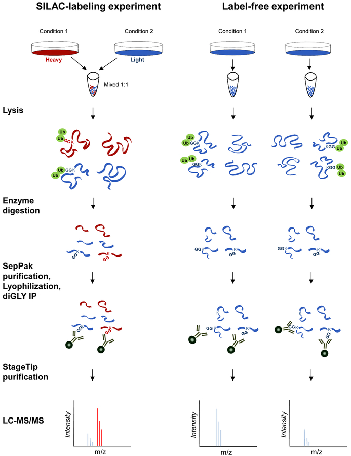 Figure 1 –