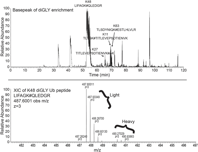 Figure 2 –