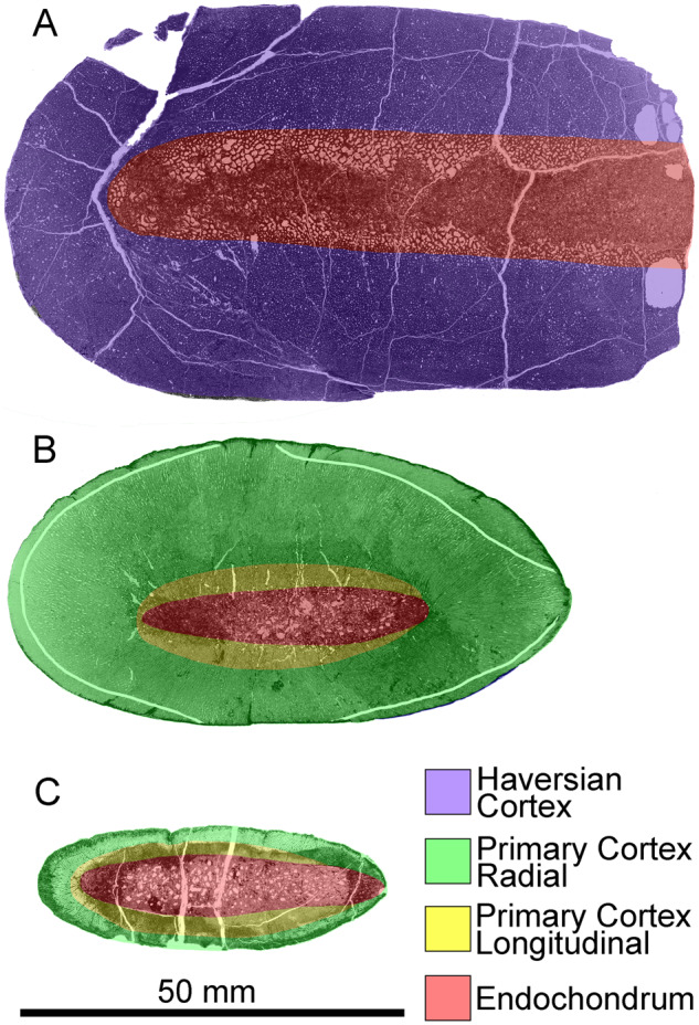 Fig. 14