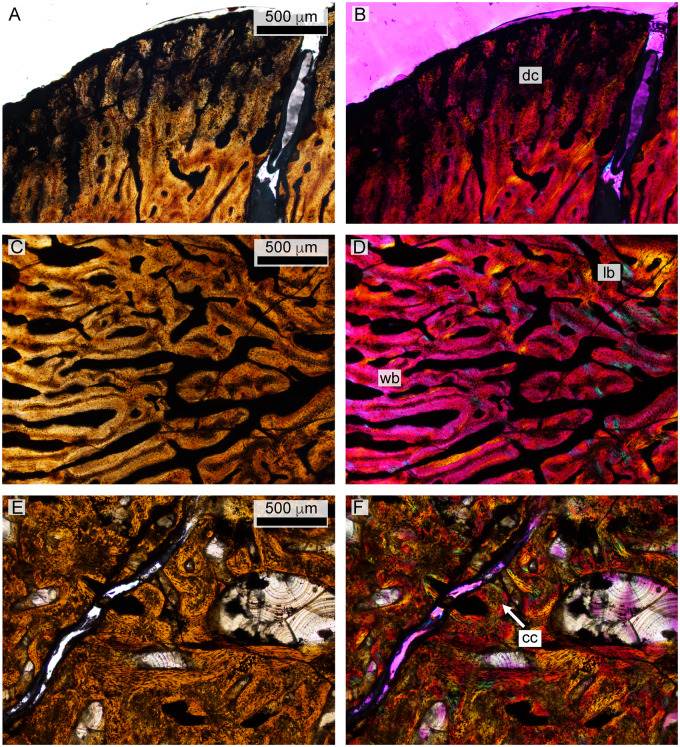 Fig. 13