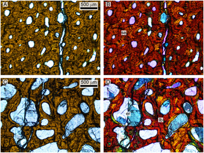 Fig. 11