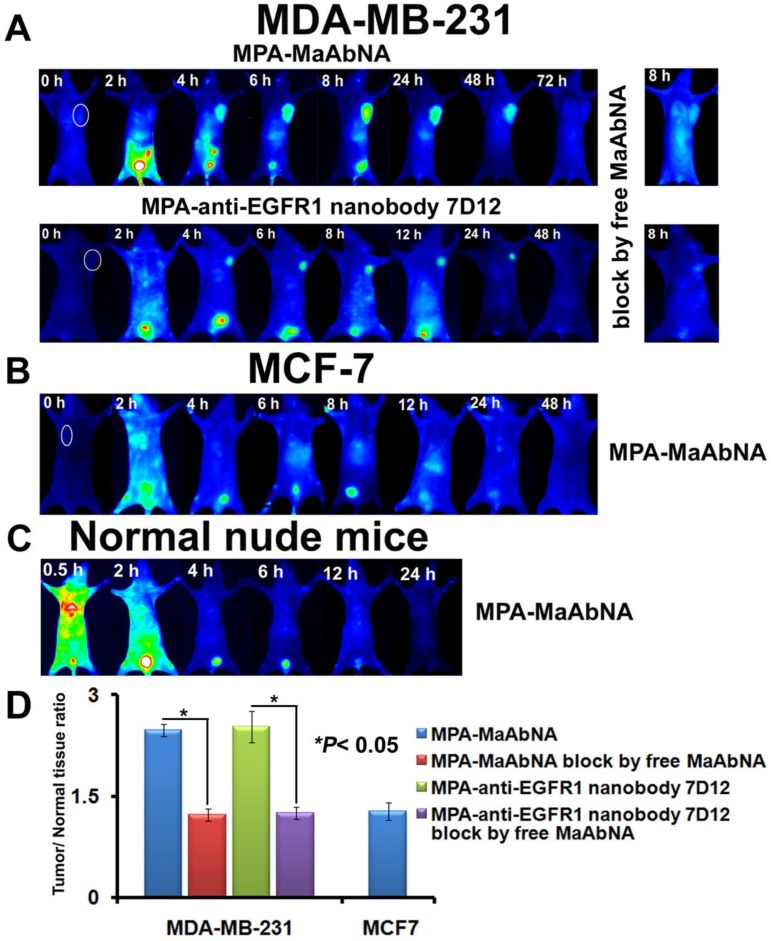 Figure 12