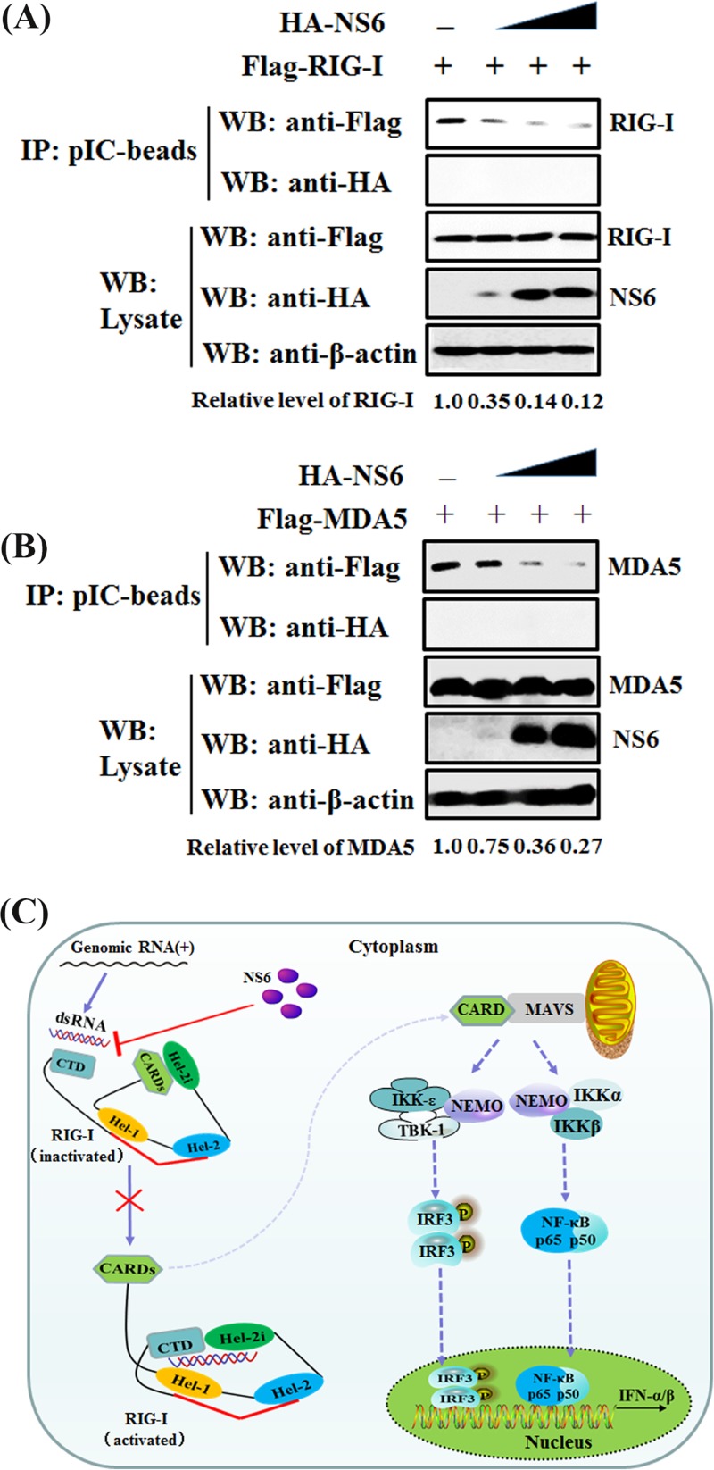 FIG 8