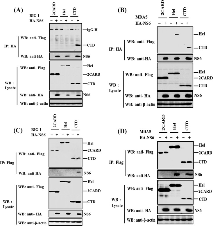 FIG 6