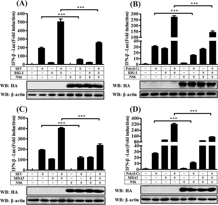 FIG 4