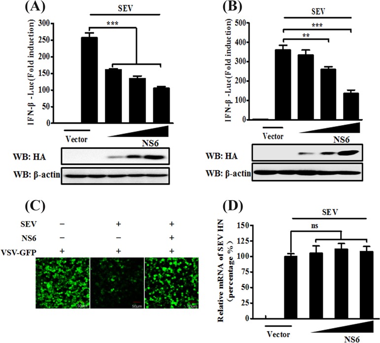 FIG 1