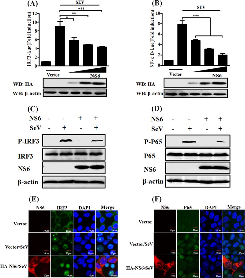 FIG 2