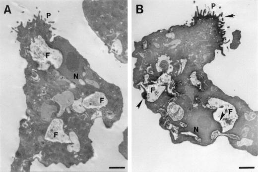 FIG. 5.