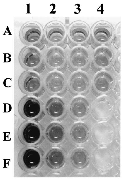 FIG. 7.