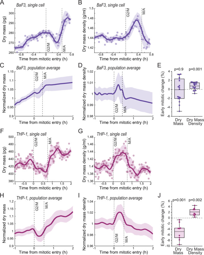 Figure 3—figure supplement 3.