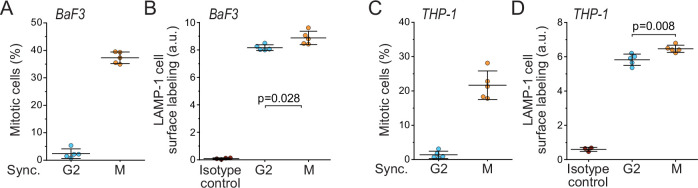 Figure 5—figure supplement 2.