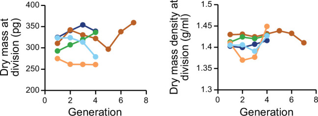 Figure 2—figure supplement 2.