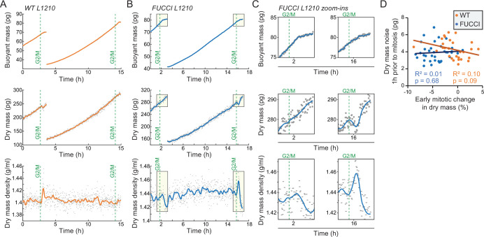 Figure 3—figure supplement 2.