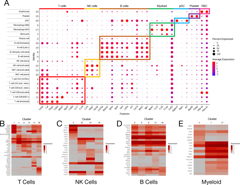 Dot plot plots marker genes versus superclusters. Heat maps for T cells, NK cells, B cells, and myeloid cells present the expression levels of major markers.