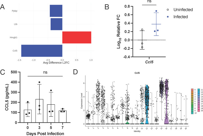 Proteins and cytokines versus average difference L2FC; expression of Ccl5 for infected and uninfected; levels of Ccl5 post-infection; and Ccl5 expression for each cluster are in graphs.