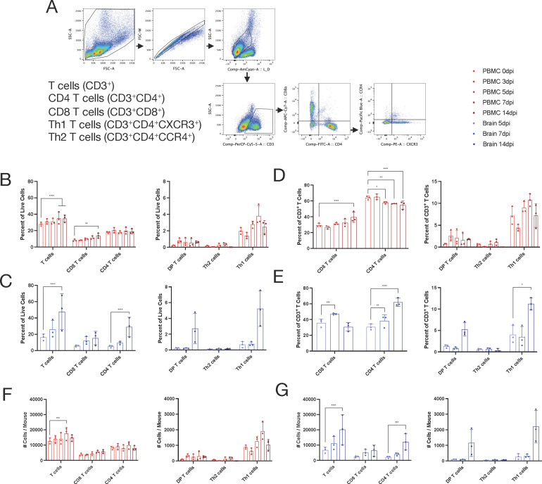 Process flow of T cell isolation; percentage of all live cells; percentage of CD3 plus T cells; and the total number of cells per mouse in brain and PBMC are in respective illustrations.