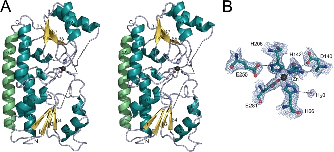 FIG. 1.