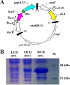FIG 6