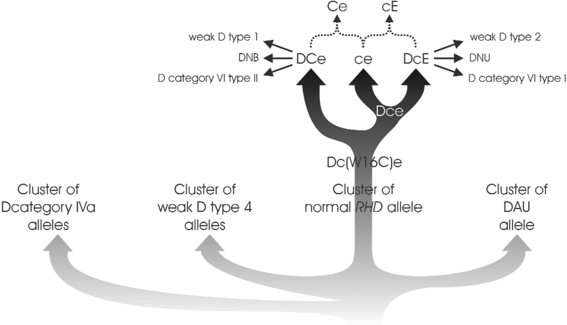 Fig. 5.