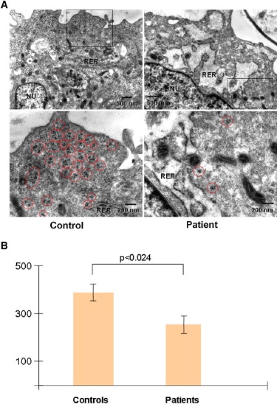 Figure 6