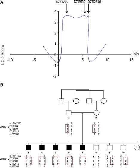 Figure 2