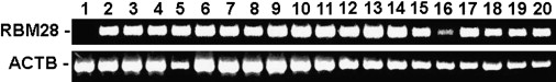 Figure 4